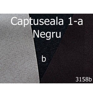 3158b/Captuseala 1-a-1.4 ML----negru-----