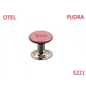 5221/Capsa Rapida Simpla Cu Capac Vopsit-9-mm-otel--pudra-----